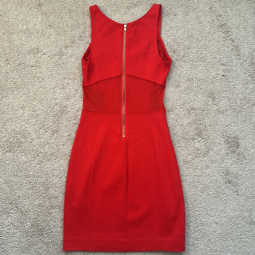 Express Dress - Picture 4 of 6